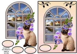 Sitting at the Window