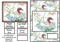 The Grebe