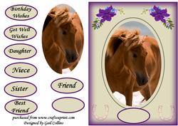My Pony