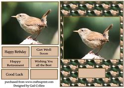 The Wren