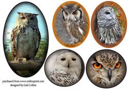 Owl Toppers