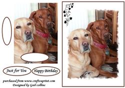 Two Lovely Dogs