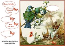Birds of a Feather