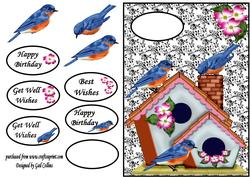 Bird House