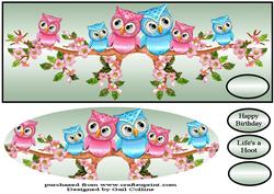 Lifes a Hoot