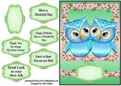 Owl Couple