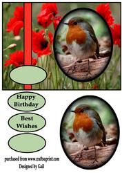 Robin and Poppies