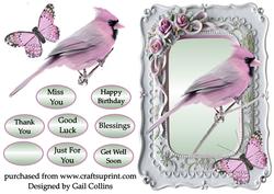 Bird Frame