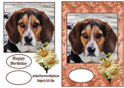 The Beagle