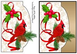Cardianal Christmas