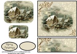 Starry Winter Scene