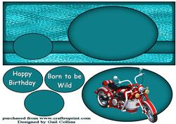 Born to Be Wild