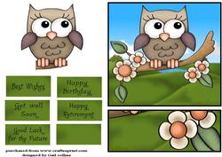 Little Owl