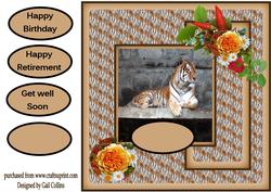 Tiger Time