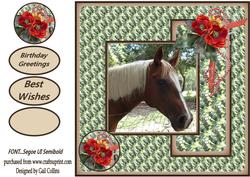 The Horse