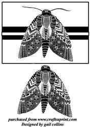 Unknown Moth