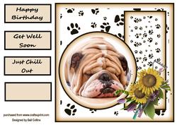 All About Dogs