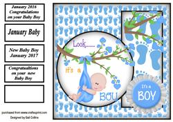 January Baby Boy