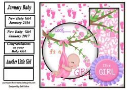 January Baby Girl