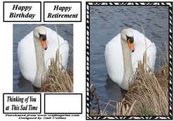 Ride a white Swan