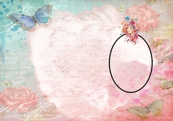 colour insert
