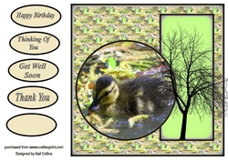 One little duckling