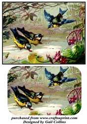 The Birds