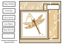 my dragon fly Art