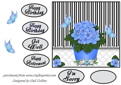 African Violets
