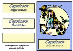 capricorn 2