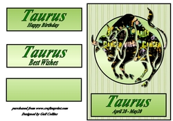 Taurus 2