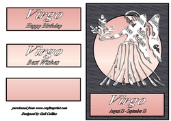 Virgo 2
