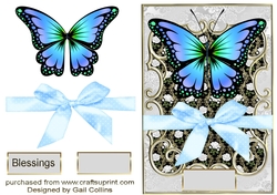 Butterflies and bo