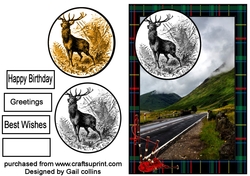 Bonnie Scotland