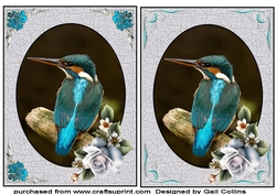 kingfisher