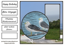 Sea Birds