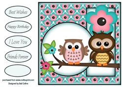 Owl friends