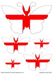 England Butterflies