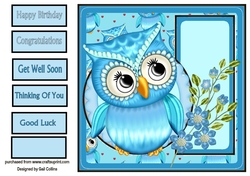 little blue owl