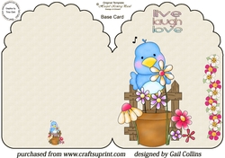 Little blue bird