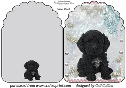 cockerpoo pup