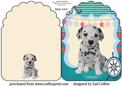 Dalmation Pup