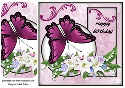 the butterfly