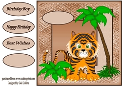 tiger baby