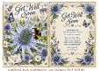 sea holly
