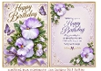 pansy