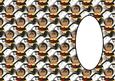 Bee Happy Insert