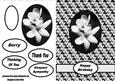 Monochrome Floral Card