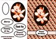 Floral Card Orange