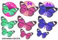 Round Butterfly Toppers x 3 No 3